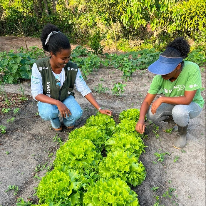 Senar na Bahia acompanhou os testes do biofertizante