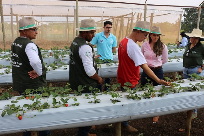 A Arbolina se destacou por sua capacidade de potencializar o desenvolvimento das plantas